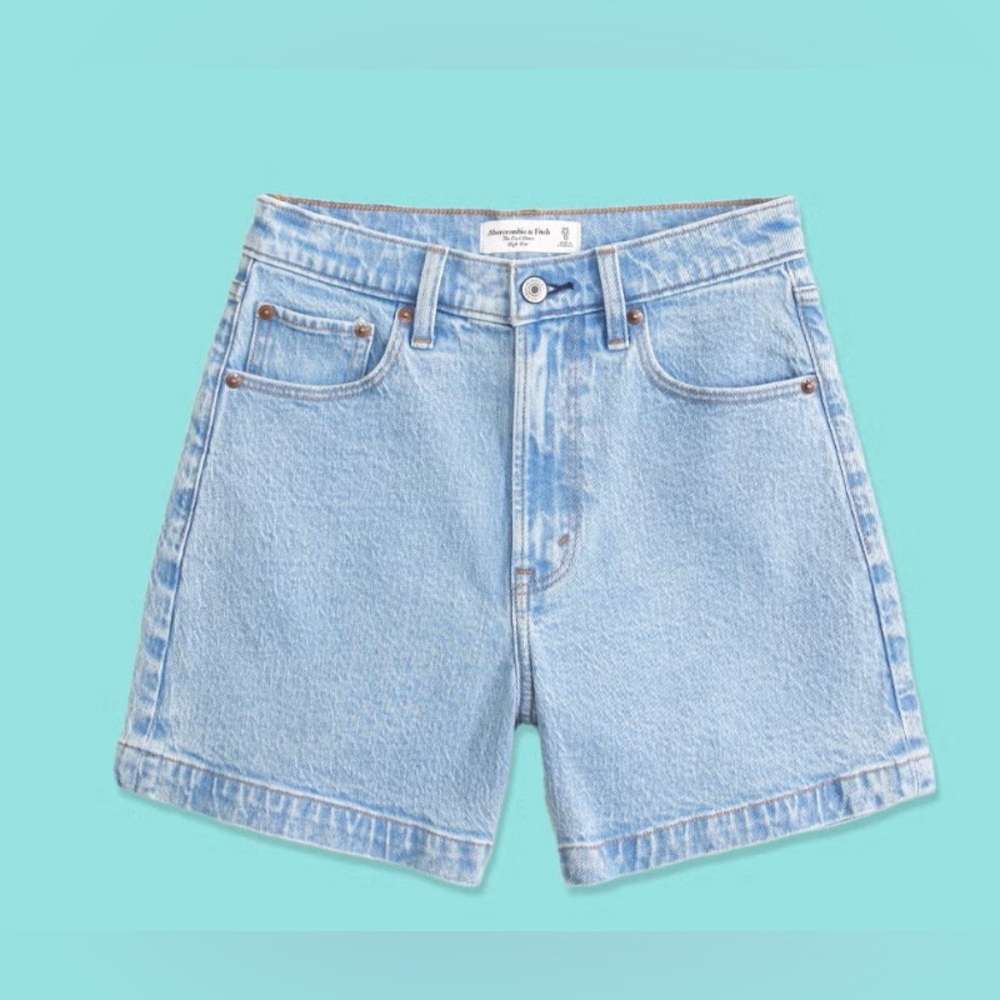 Curve Love The Dad Short High Rise Shorts
